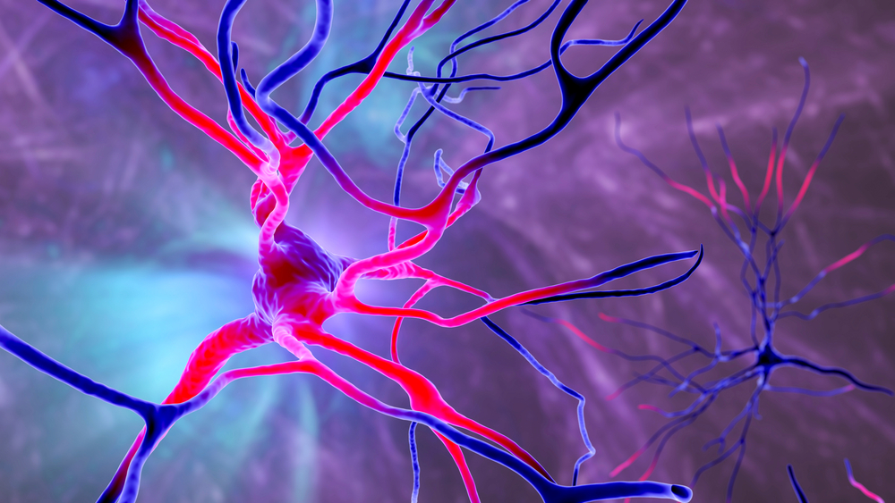 nerve fibers neuropathy