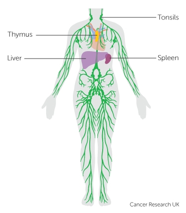 lymphatic system at laser for pain