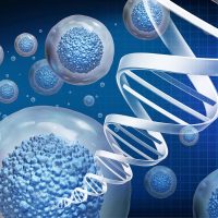 An Enlightening Comparison: Blue vs. Red Light with Photobiomodulation Therapy